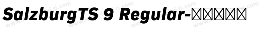 SalzburgTS 9 Regular字体转换